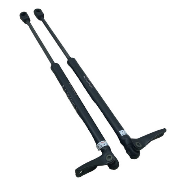 Amortecedor Porta Malas Honda Fit 2003 A 2007